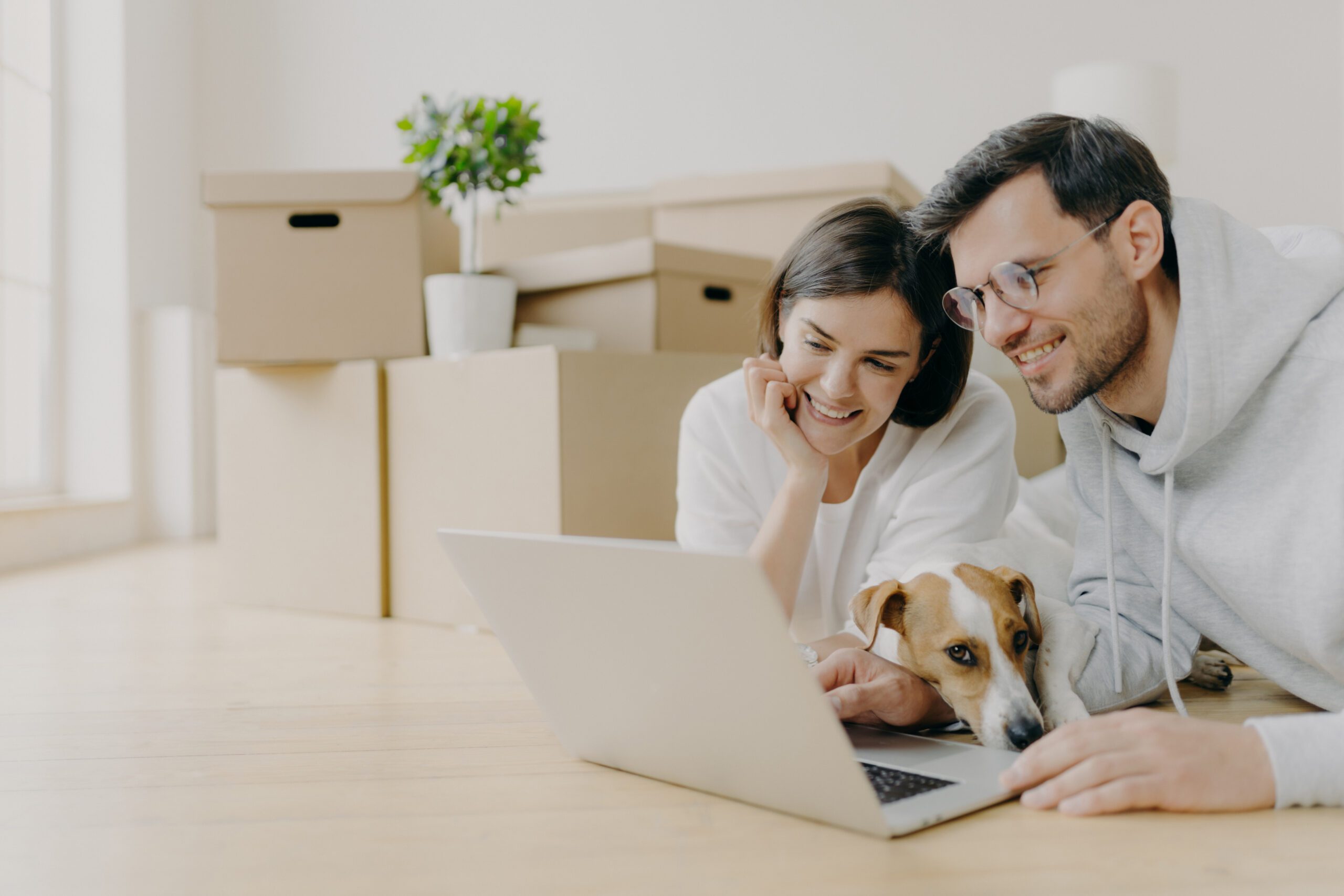 Glad young female and male discuss home repair projects, look attentively into laptop, their dog lies near, pose in living room on floor, dressed in casual clothes. People and new home concept